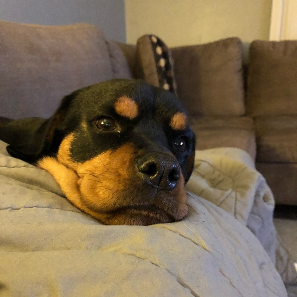 Meet your Posher, Ashlee